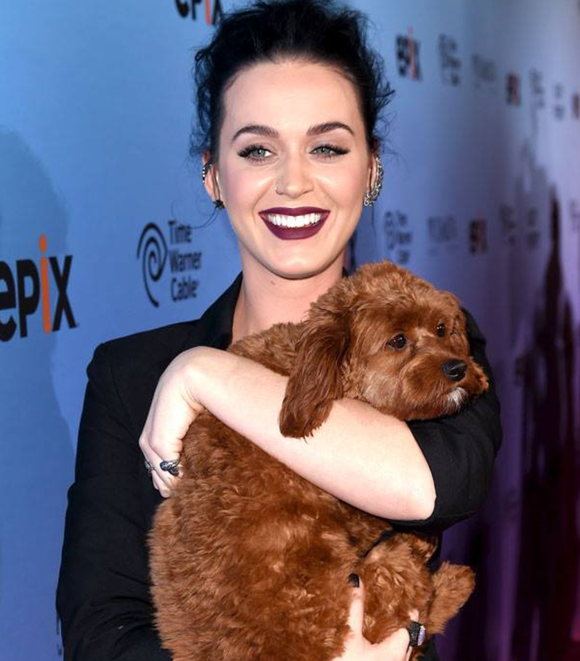 FAQs About Katy Perry